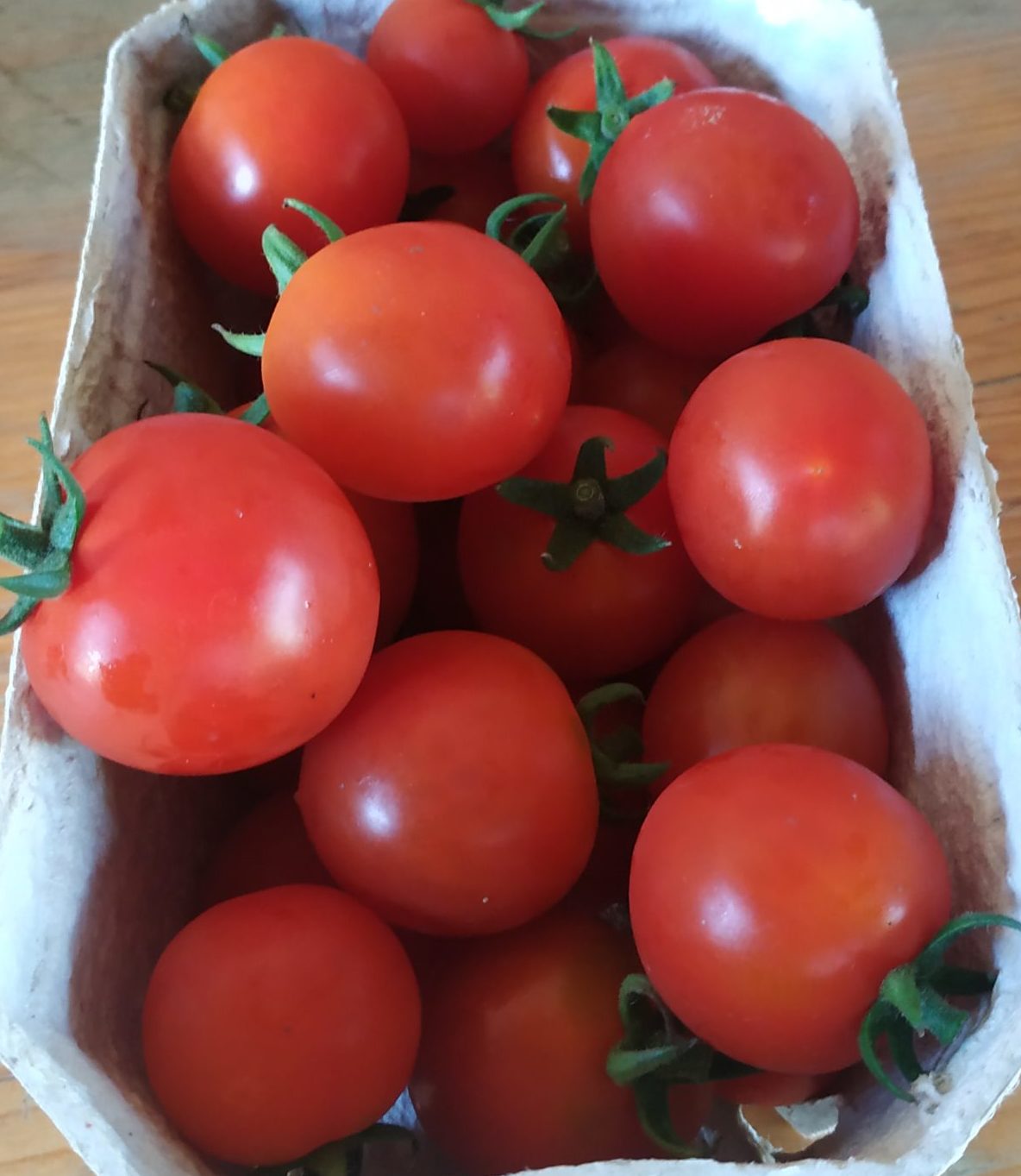 Bio Cherry Tomaten 500g - Mein Biohof